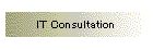 ＩＴ Consultation